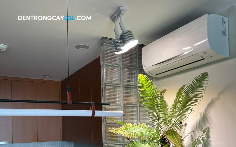 Đèn trồng cây LGL spotlight 50W giúp cung cấp ánh sáng cho cây cảnh và trang trí nội thất