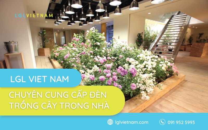 Địa điểm cung cấp đèn LGL Việt Nam