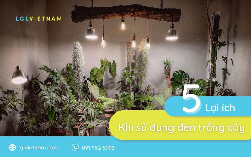 Lợi ích khi sử dụng đèn led trồng cây