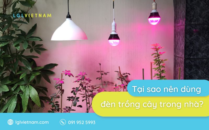 Tại sao nên dùng đèn led trồng cây