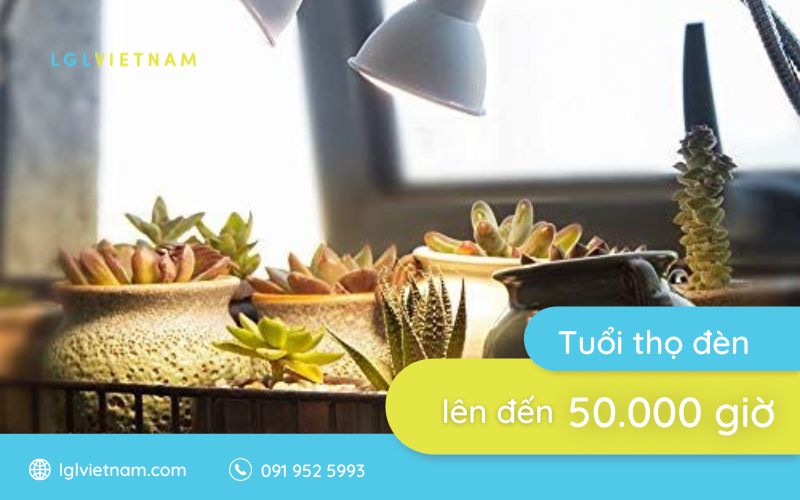 Tuổi thọ đèn led trồng cây